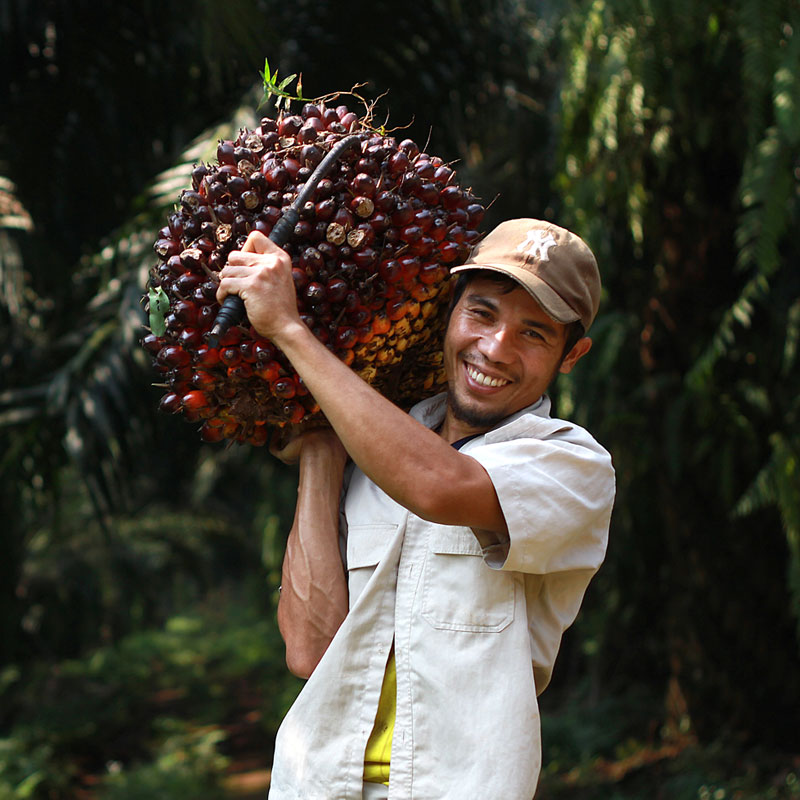 HRDCorp_IndSF_OilPalm_Subject02_01 HRDCorp_IndSF_OilPalm_Subject02_01