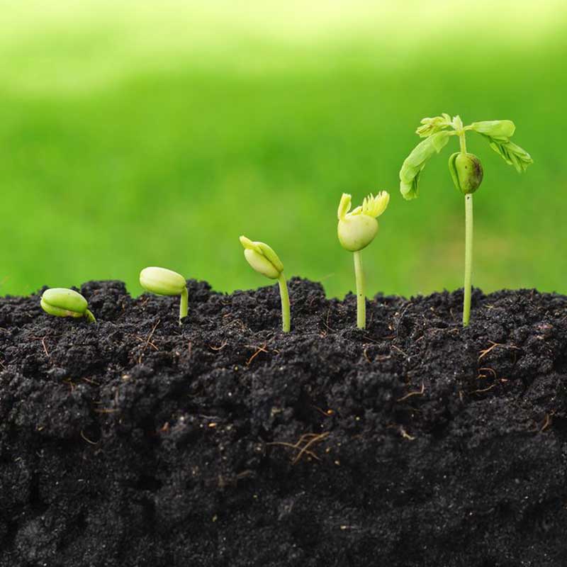 HRDCorp_IndSF_agriculture_Subject03 HRDCorp_IndSF_agriculture_Subject03