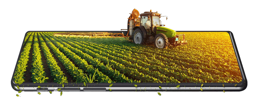 IndSF (Agriculture) IndSF (Agriculture)